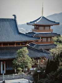 大華興寺：塵世中的清淨梵境
