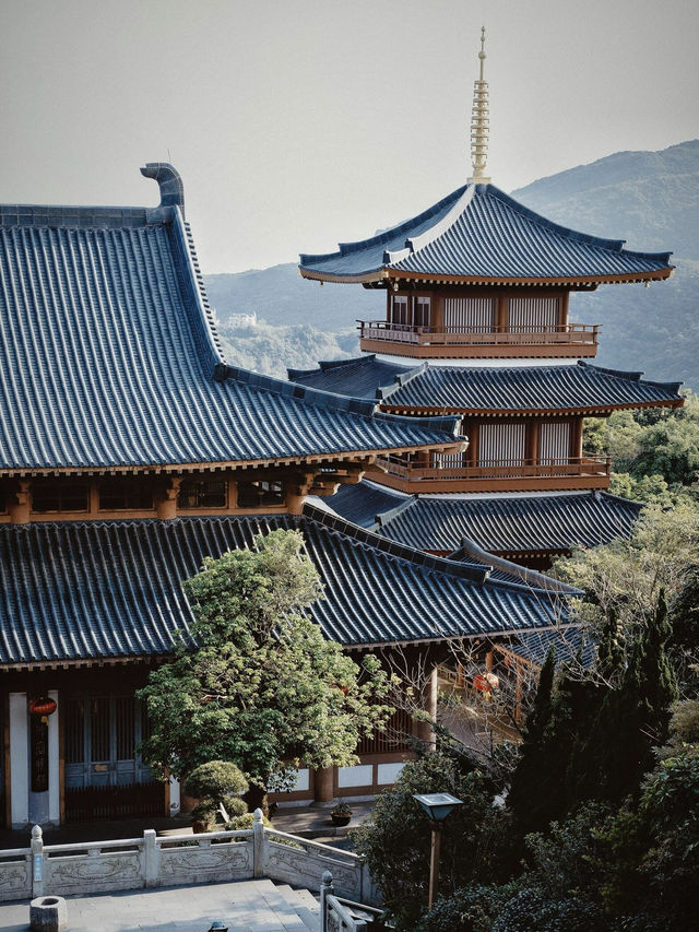 大華興寺：塵世中的清淨梵境
