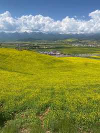 小長假去西寧等地 避雷指南快啲攞走