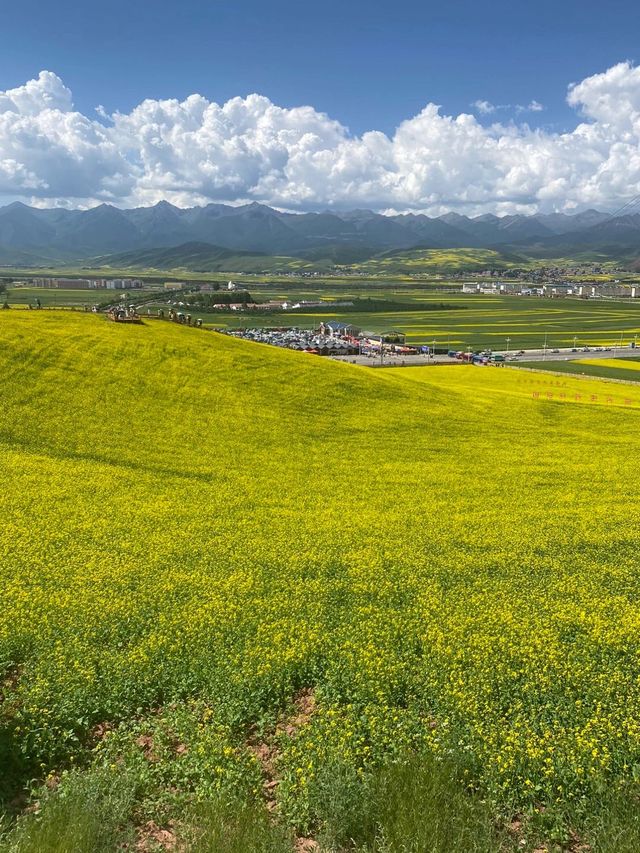 小長假去西寧等地 避雷指南快啲攞走