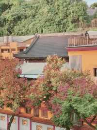 花影流光：漫步花博公園的詩意時光