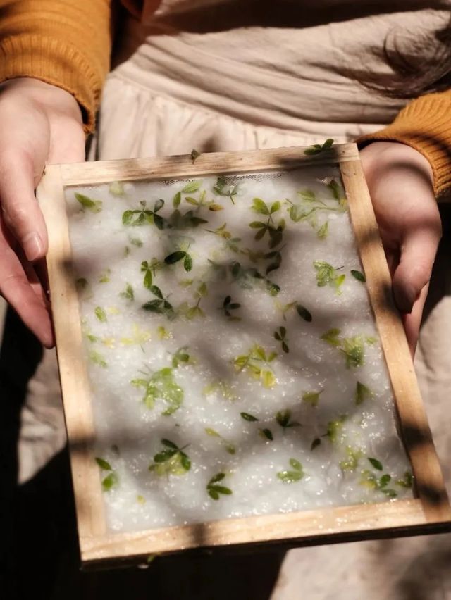 自然博物！瀾湄號奢華列車太適合親子遊了