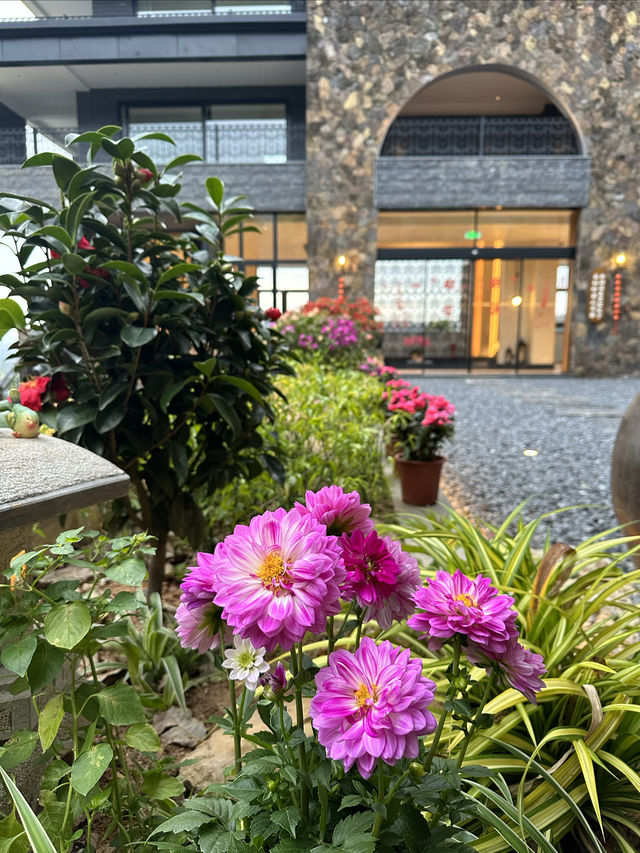 保亭旅行｜嚟苗山書雁絕美小院飲茶浸私人溫泉！