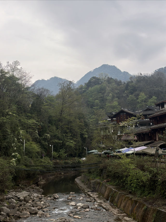 成都青城山！！花得最值嘅一筆錢！！！唔捨得退房….