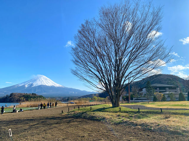 日本最高峰｜富士山