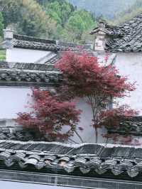 盧村｜這裡比宏村人更少景更美！沒有那麼商業化