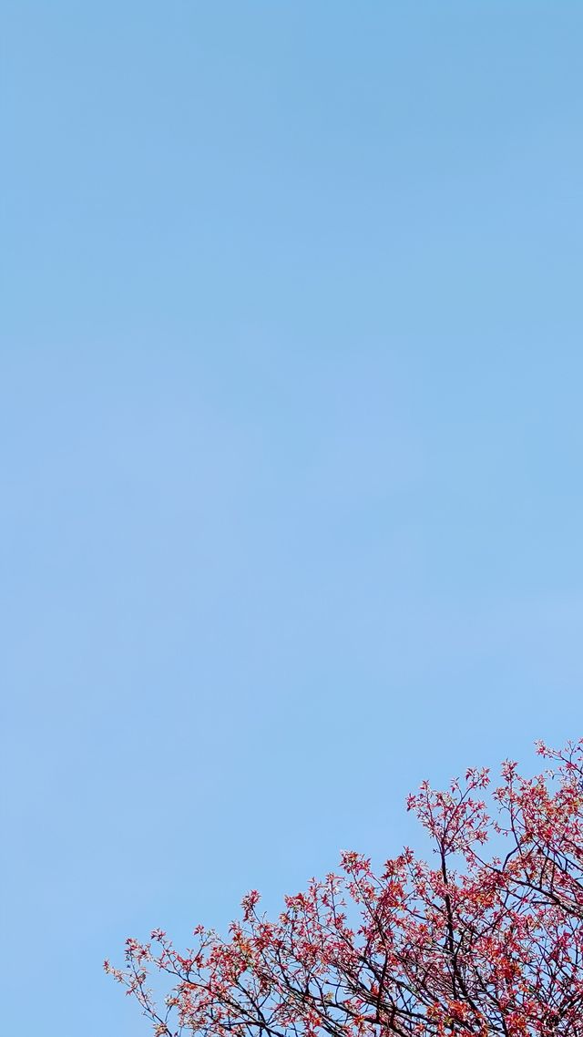 沙塵暴那天    我躲進了豐都夾壁山