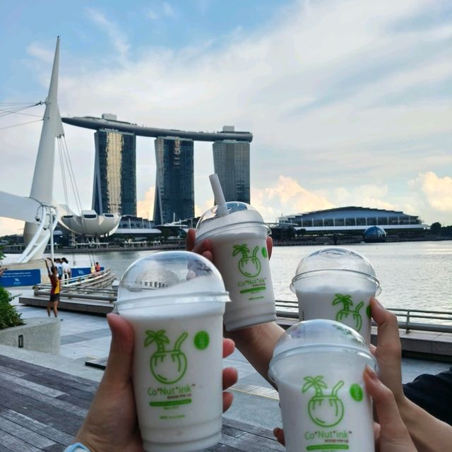 奔赴北緯1°的無盡夏｜在新加坡把浪漫寫成詩🌴 
