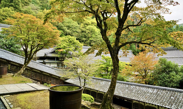 日本•福井縣｜永平寺