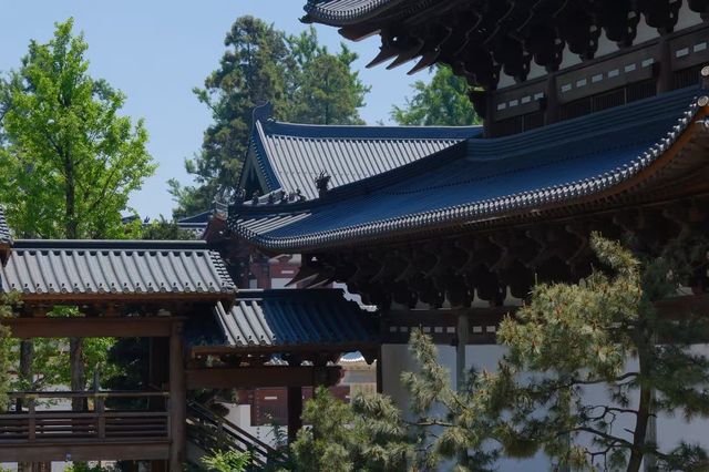 徑山寺嘅特色