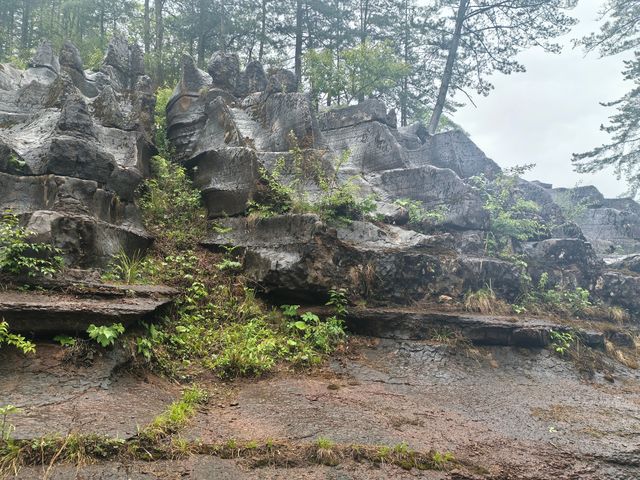 夏季炎熱推薦漢中一些避暑勝地：   - 黎坪國家森林公園：位於南鄭區黎坪鎮，夏季平均氣溫22℃左右。