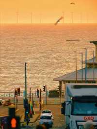 ～🌊Brighton Beach is So Charming and Attractive🤩🌼