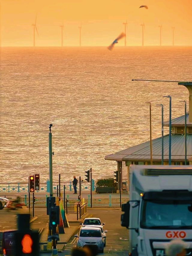 ～🌊Brighton Beach is So Charming and Attractive🤩🌼