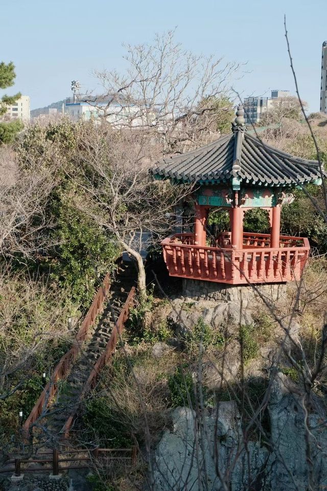 濟州島 承包果凍海的夏天！免簽玩到爽攻略