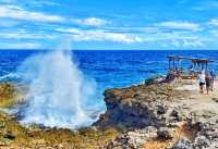 環遊世界系列加勒比地區：庫拉索西島遊