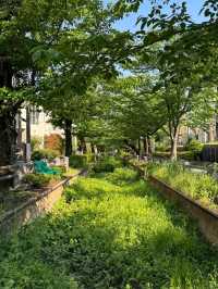 你知道嗎？東京有許多橫穿城市的超長綠道