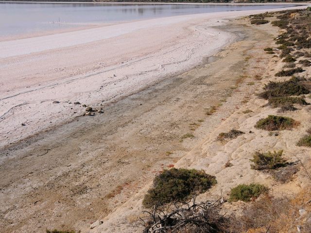 塞浦路斯拉納卡鹽湖