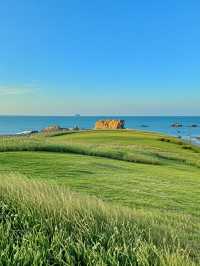 闖入宮崎駿嘅夏日童話！青島親子遊天花板攻略