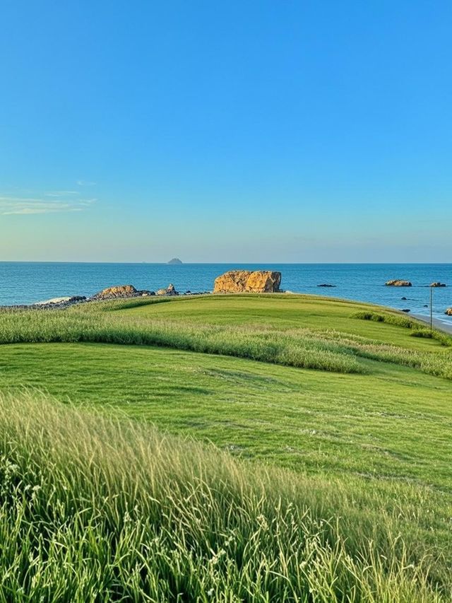 闖入宮崎駿嘅夏日童話！青島親子遊天花板攻略
