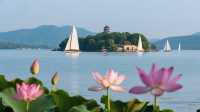 無錫黿頭渚夏日荷塘爆款攻略｜承包整個江南嘅浪漫
