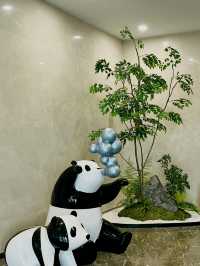 住進臨沂動物王國，萌趣到犯規！