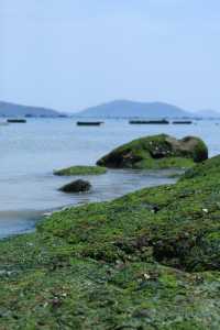 流水碼頭｜福建小眾趕海地