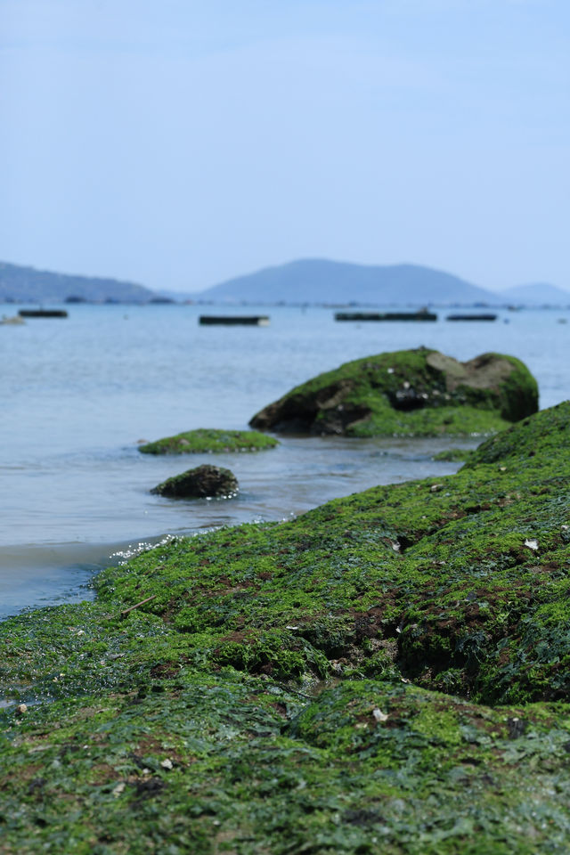 流水碼頭｜福建小眾趕海地