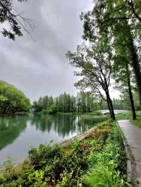 🌸 《夢回紅樓・上海大觀園》