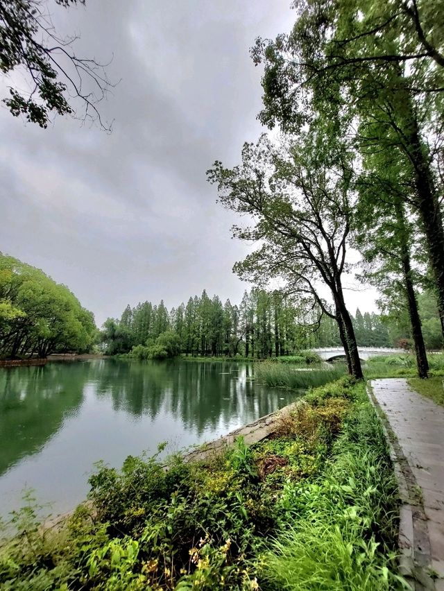 🌸 《夢回紅樓・上海大觀園》