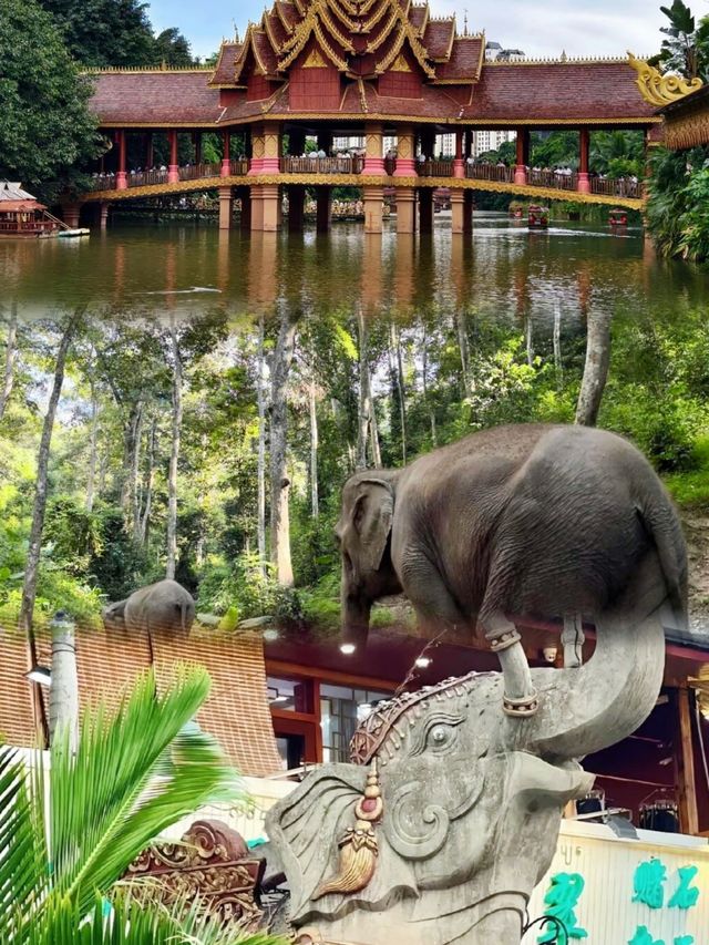 西雙版納超正旅遊攻略，窮遊都玩得盡興