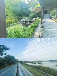 上海周邊！睇完即刻想出發嘅治癒地