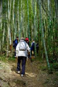 雞枕山：花崗岩森林嘅階梯呼吸術