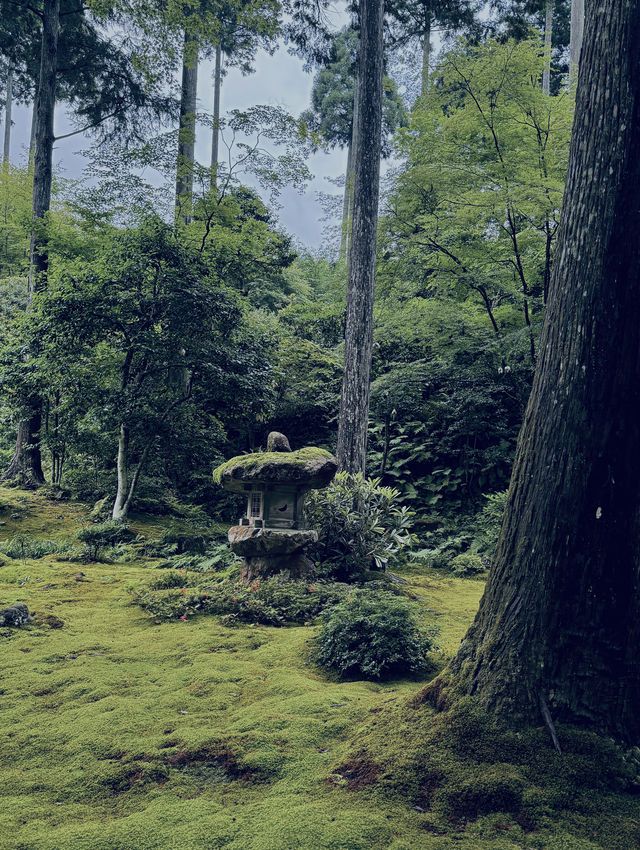 #京都三千院