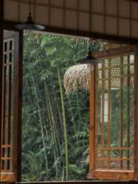 喺惠州南崑山，搵到屬於廣東嘅山野秘境