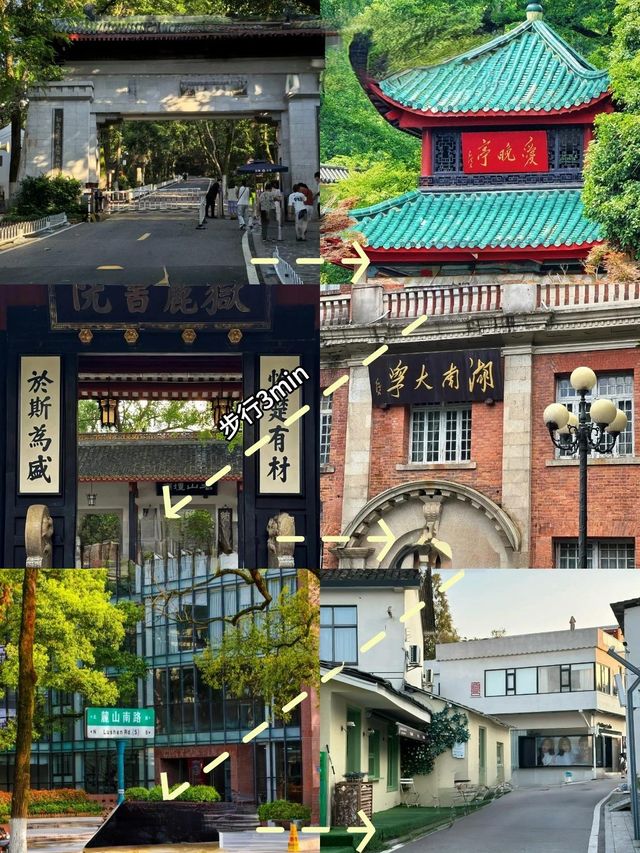 長沙返嚟啦。。我真係崩潰咗……