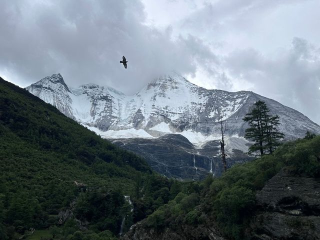 六月稻城亞丁珍珠海景區旅行攻略 
