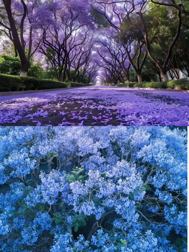 成都旅遊避坑指南！本地人教你玩轉景點唔使嘥冤枉錢！