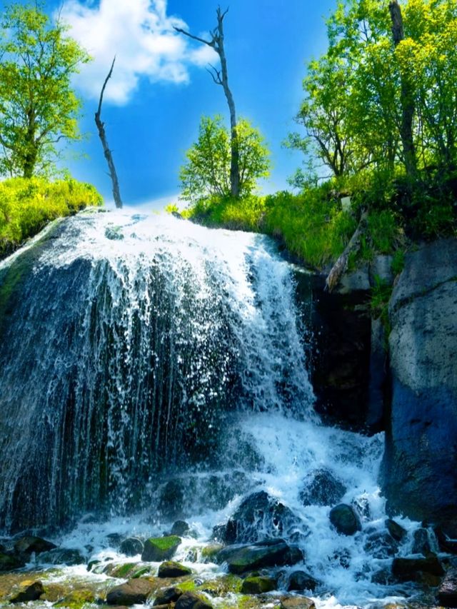 夏日必衝！20℃長白山避暑天堂，徒步穿越仙境超全指南！