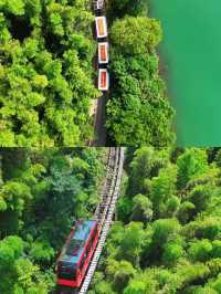 暑假大家都來南山竹海