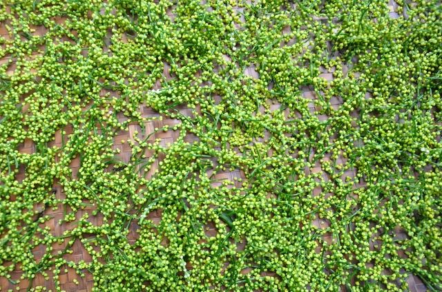 人間春日應問茶，走！去歙縣飲茶去→