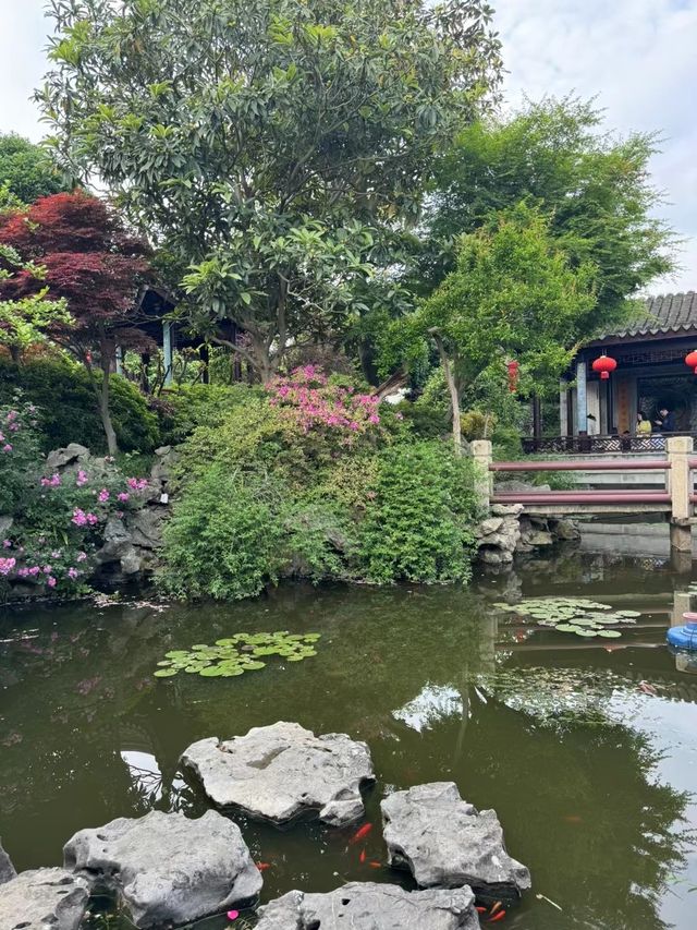 江南美食蘇麵真係正到爆