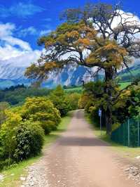 麗江+香格里拉 | 邂逅亞朵與老藥山的奇幻之旅