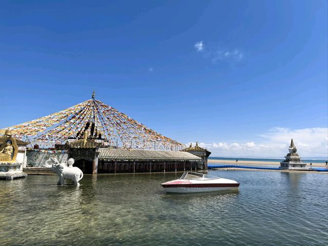 青海湖七月藍黃奇境