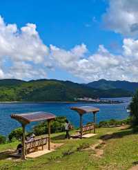 《20蚊船飛，闖入塔門島嘅宮崎駿夏天》