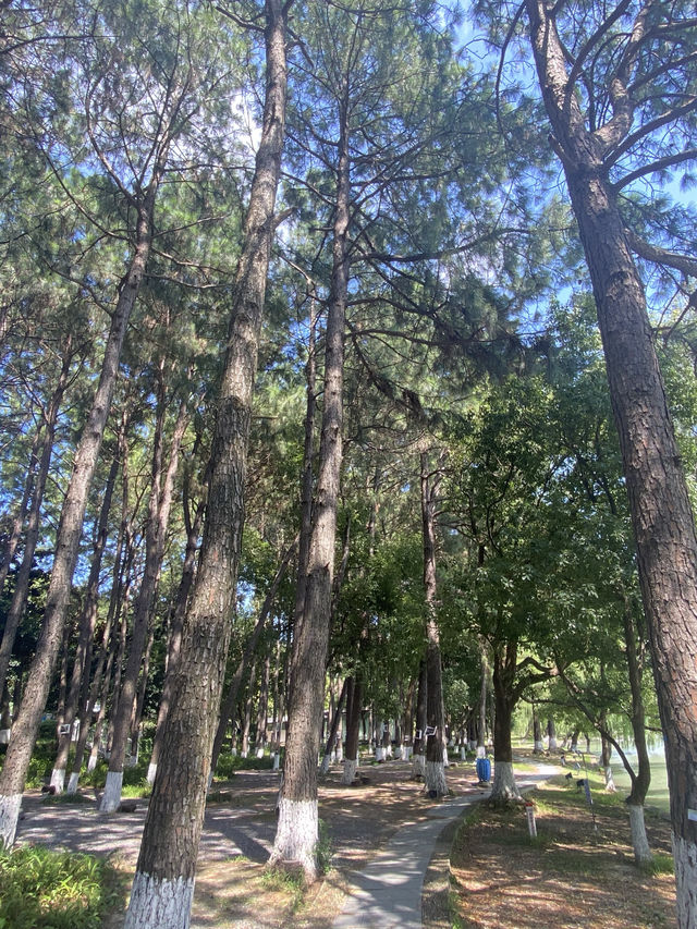 江南隱秘嘅「山海湖」桃源！兩日一夜南北湖治癒系週末