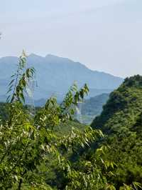 紅林村尋古——黃寶峪古廟遺址