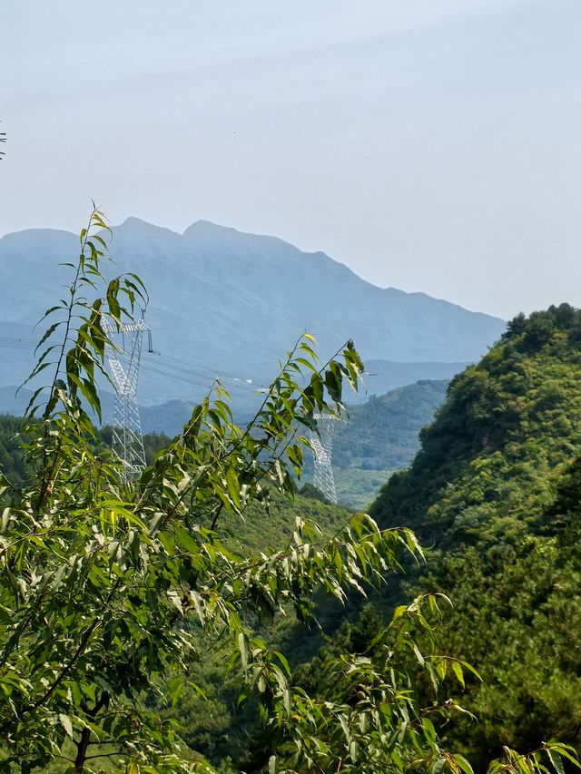 紅林村尋古——黃寶峪古廟遺址