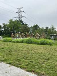 Nanyuan Forest Wetland Park in Beijing! 