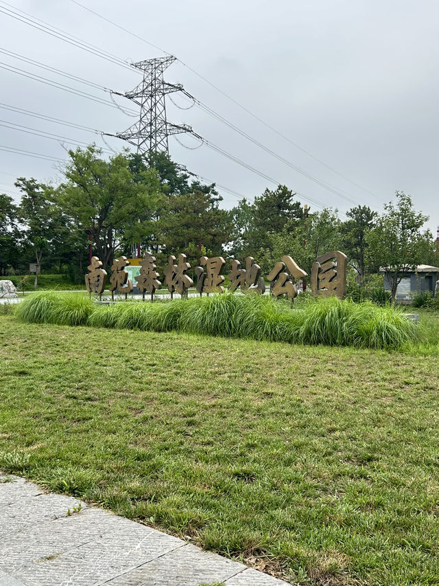 Nanyuan Forest Wetland Park in Beijing! 