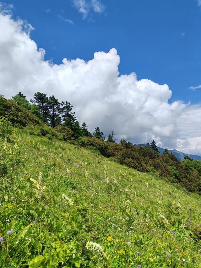巴郎山：雲端的羌藏走廊